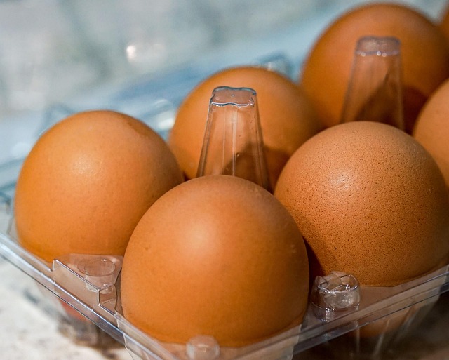 Free Eggs Food photo and picture