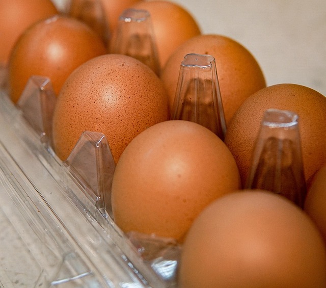 Free Eggs Food photo and picture