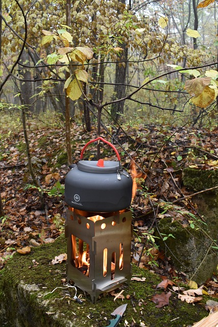 Free Cook Forest photo and picture