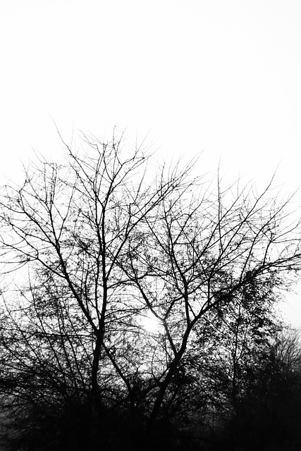 Free Abstract Art photo and picture