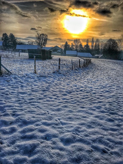 Free Snow Winter photo and picture