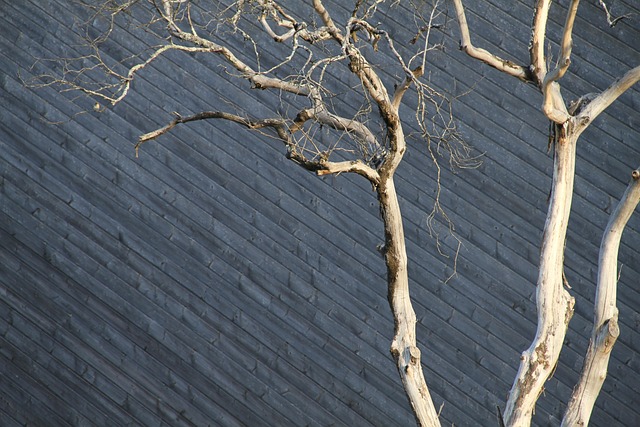 Abstract, Hout, Lucht, Minimale