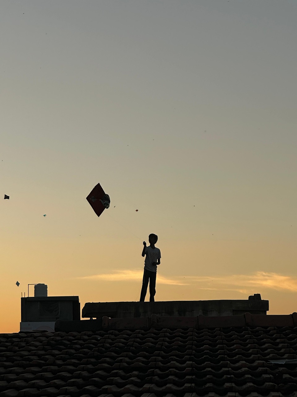 Download free HD stock image of Kite Children Free Kite Children photo and picture