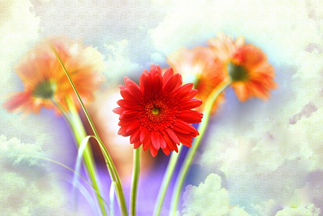 Free Flower Nature photo and picture