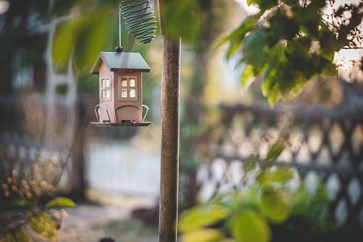 Free Aviary Nature photo and picture
