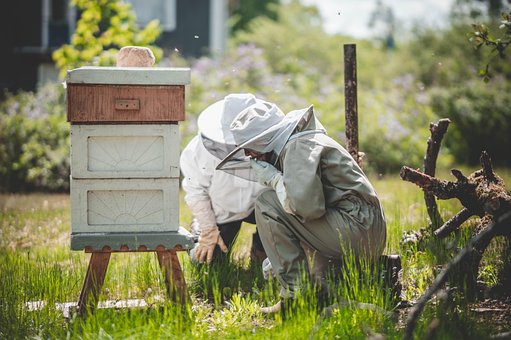 Free Beehive Beekeeper photo and picture