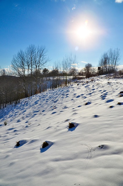 Free Snow Winter photo and picture