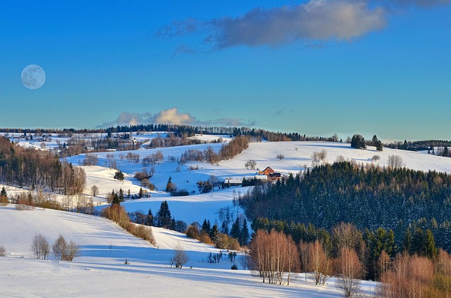 Free Snow Winter photo and picture