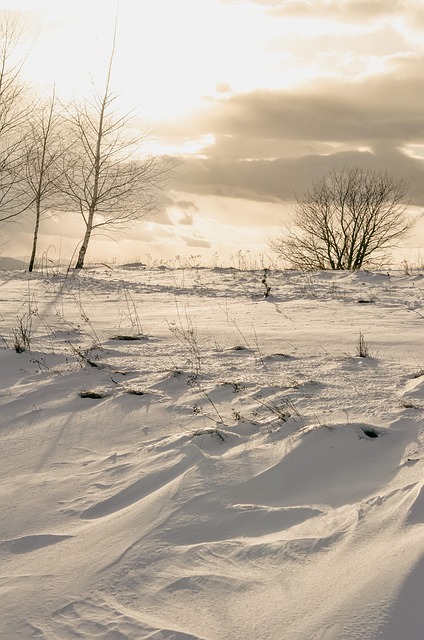 Free Snow Winter photo and picture