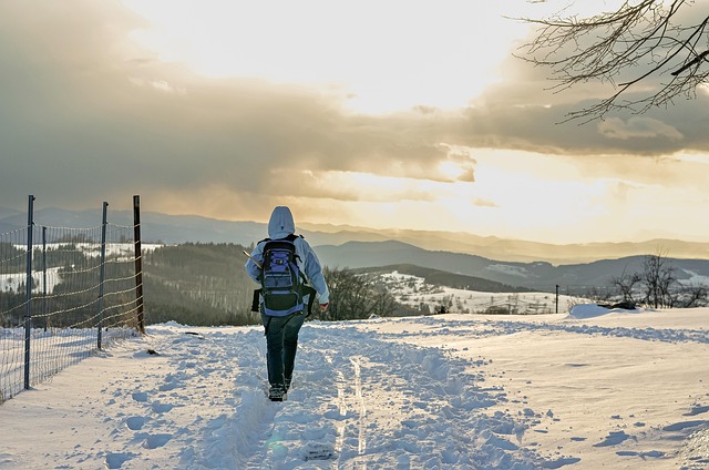 Free Snow Winter photo and picture