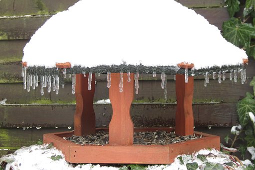 Fuglefoder, Foder Hus, Vinter