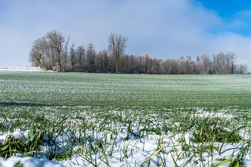 Schweiz, Kanton Zug, Winterlandschaft