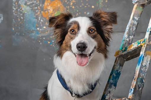 Free Ai Generated Dog illustration and picture