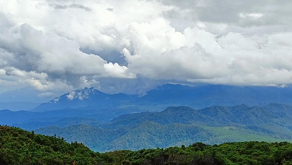 Free Nature Forest photo and picture
