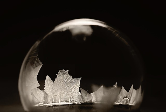 Free Frozen Bubble Soap Bubble photo and picture