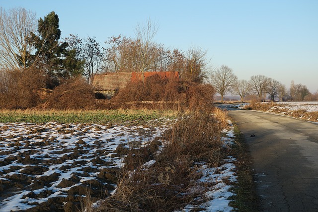 Free Old Haus Road photo and picture