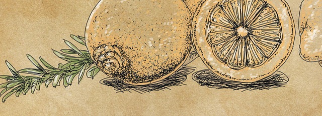 Free lemons fruit citrics illustration