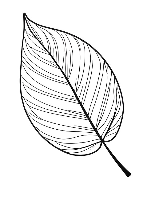 Ai Gerado, Folhas, Esboço, Desenhando