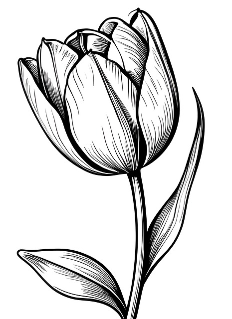 Ai Gerado, Tulipa, Flor, Pétalas, Bloom