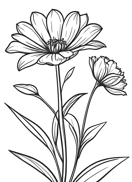 Flor, Natureza, Primavera, Bloom