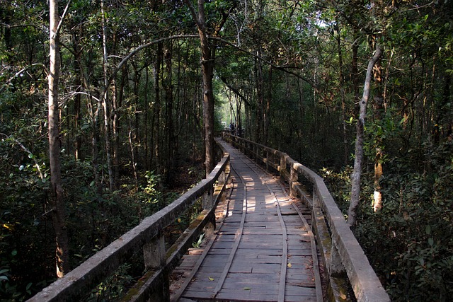 Free Green Nature photo and picture