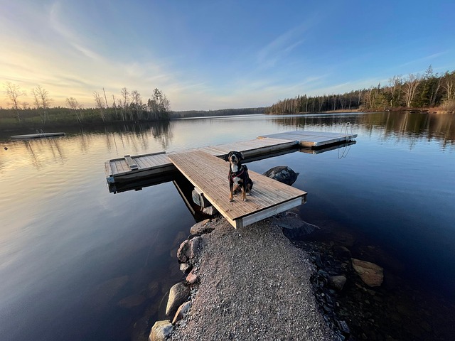 Free Sweden Lonliness photo and picture