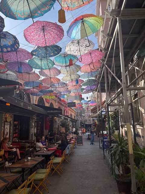 Free Istanbul Turkey photo and picture