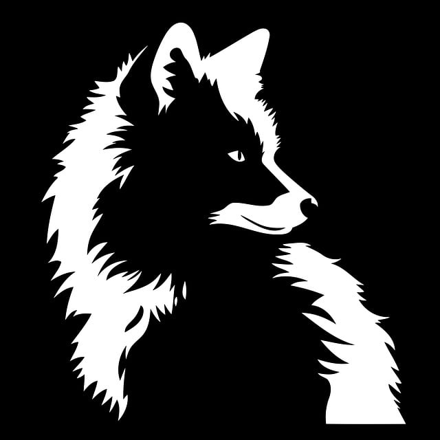 Free fox animal wildlife vector