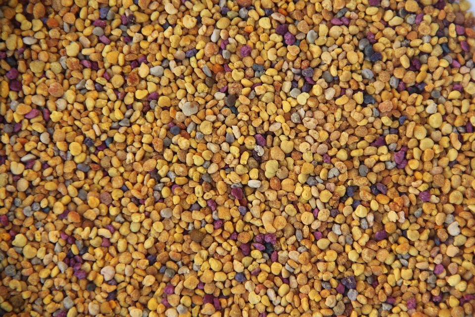 Pollen D'Abeille Bio 500g – 100% Naturel Multicolore, Séché Sans Additifs, Super Aliment Riche En Nutriments