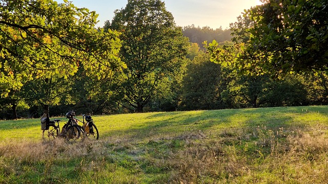 Free Bicycle Evening Atmosphere photo and picture