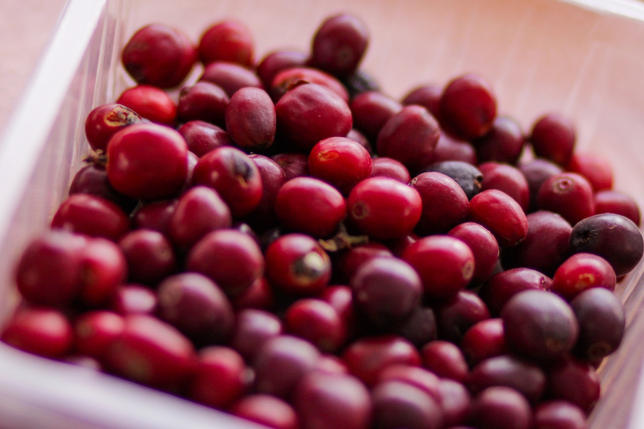 coffee-caffeine-free-photo-on-pixabay-pixabay
