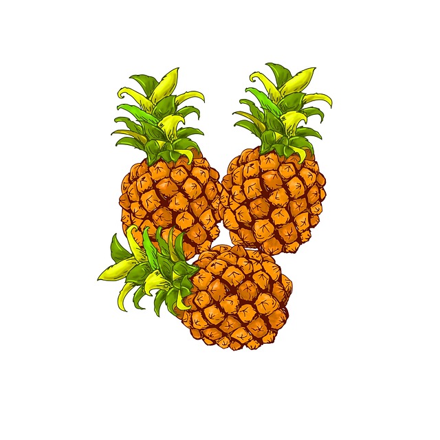 Download free HD stock image of Pineapple Fruit Free pineapple fruit food illustration