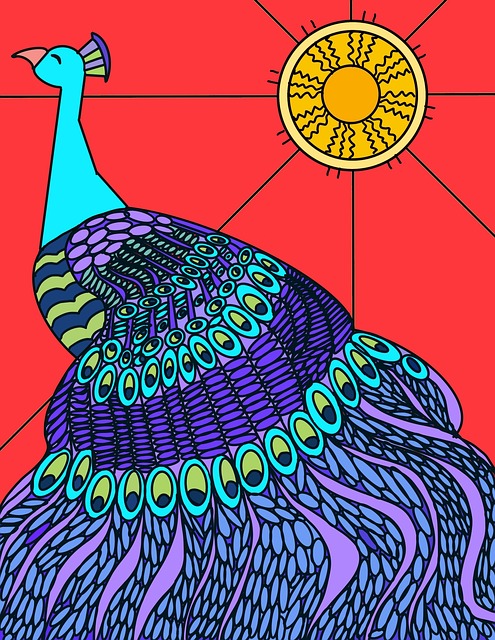 Free Peacock Colorful illustration and picture