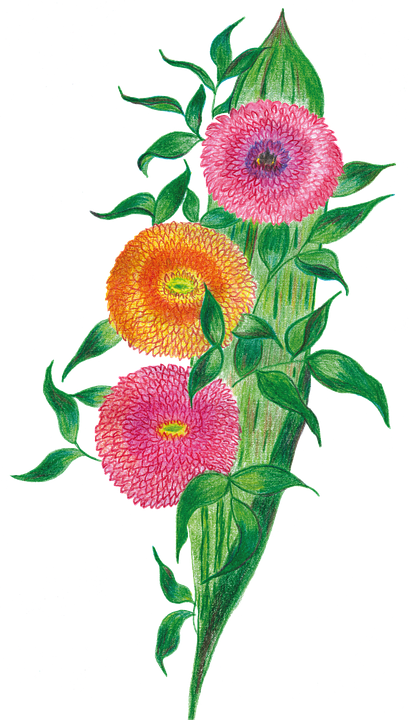 Download Gerberas, Bouquet, Flowers. Royalty-Free Vector Graphic - Pixabay