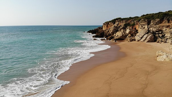 Free Beach Coast photo and picture