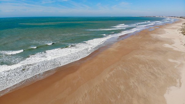 Free Beach Flower photo and picture