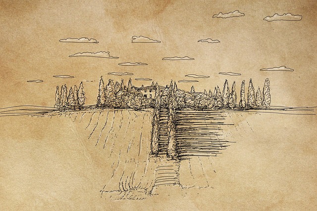 Free cypress stairs trees illustration