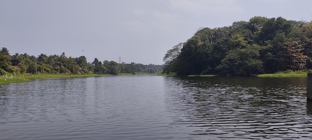Free Water Nature photo and picture