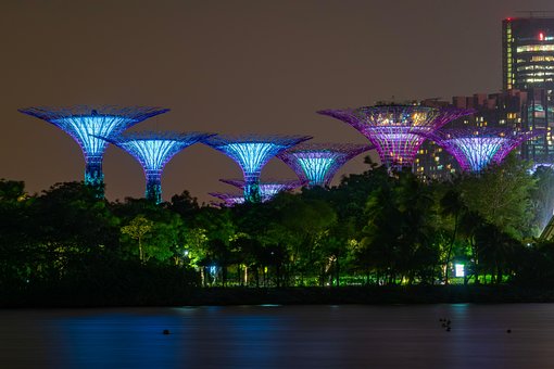Marina Bay, Bäume, Singapur, Beleuchtung