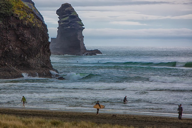 Free Piha Beach photo and picture