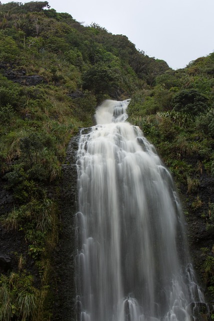 Free New Zealand Water photo and picture
