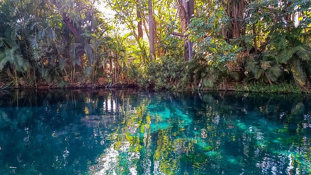 Natur, Wald, Wasser