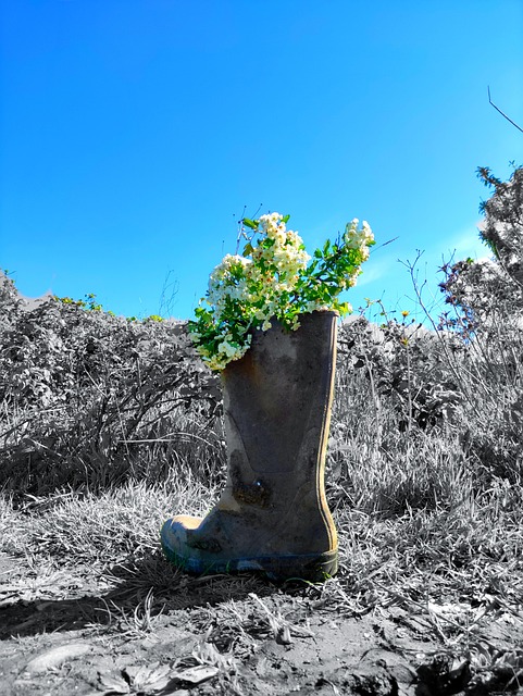 Stiefel, Schuhe, Schuhwerk, Natur