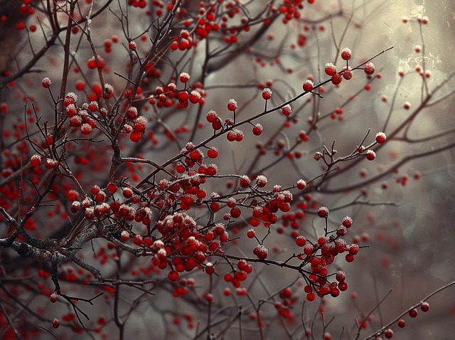 Free ai generated berries branches illustration