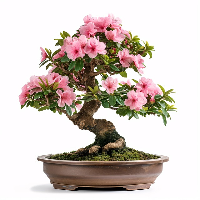 Free ai generated bonsai tree illustration