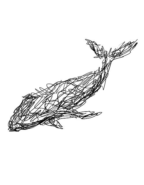 Free Sketch Whale illustration and picture