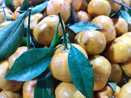Fruit, Eten, Oranje, Vers, Vitamine