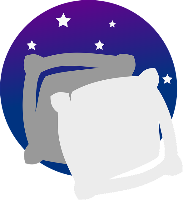 Free Pillow Pillows vector and picture