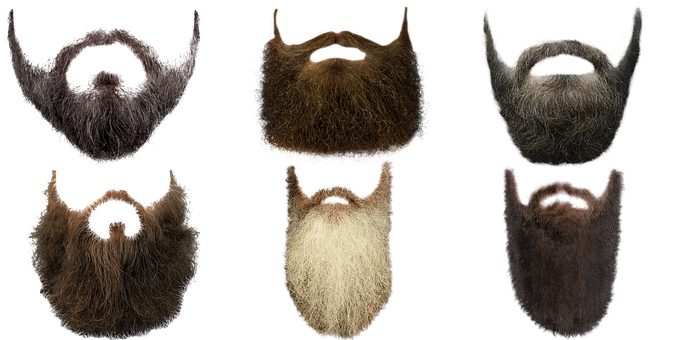 Skæg, Hår, Moustache, Mand, Skægget