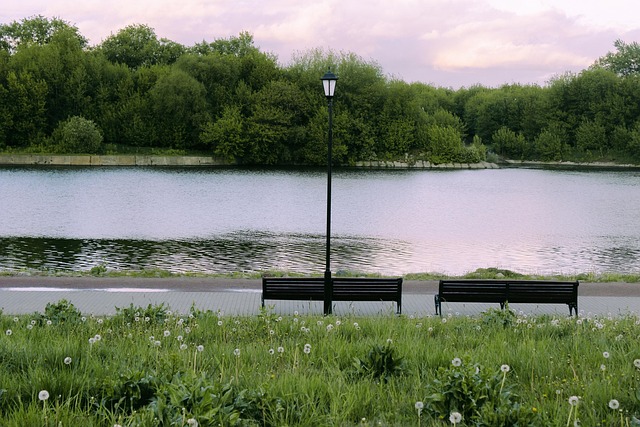 Free Lake Park photo and picture